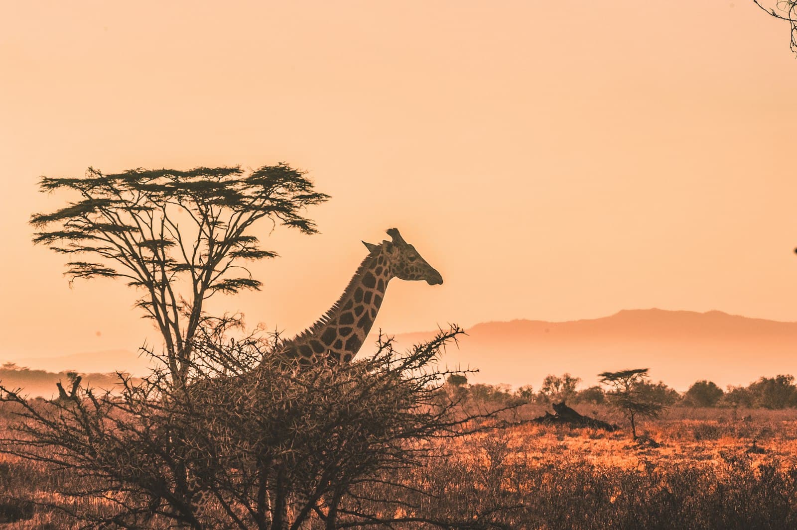 Damaraland & Twyfelfontein